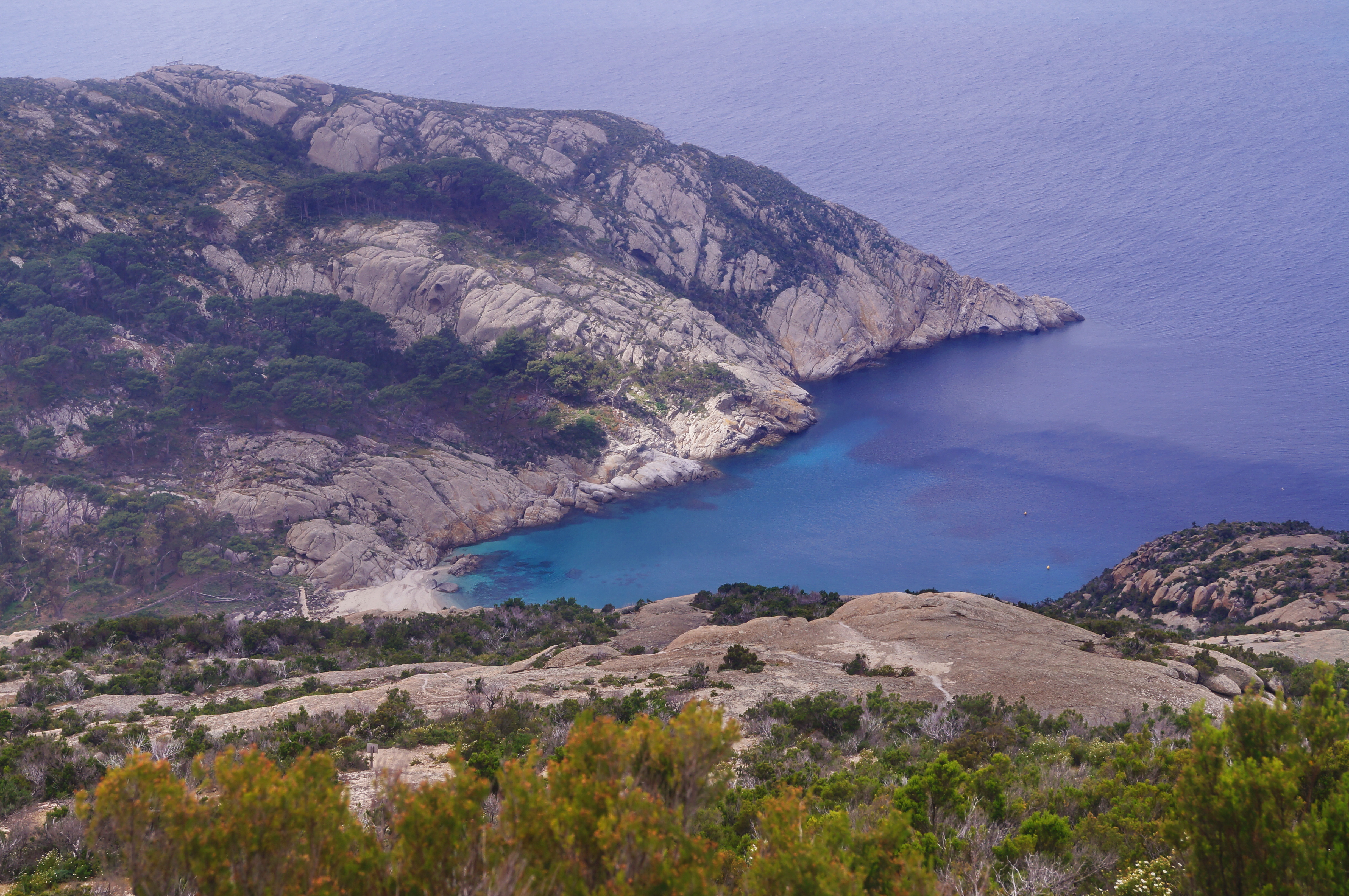 Sull’Isola di Montecristo un rinnovato infopoint per la visita alla riserva naturale biogenetica dell’arcipelago toscano