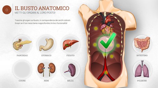 Seleziona degli organi