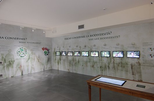 exhibit