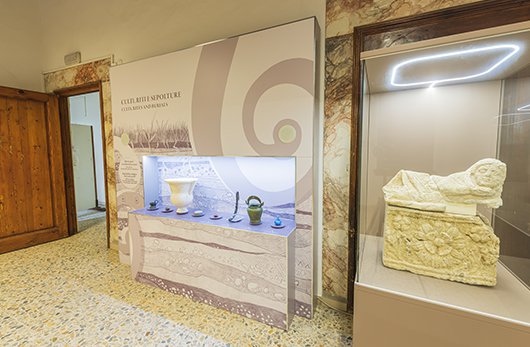 sensibilità museo