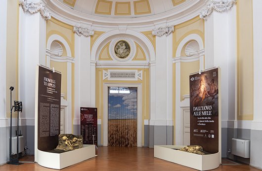particolare di una stanza della mostra
