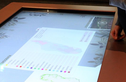 Tavolo interattivo multitouch