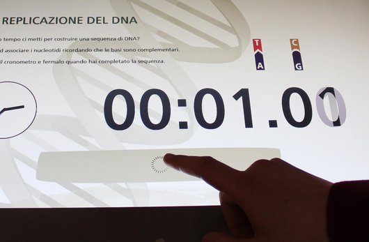 Timer interattivo, postazione "La replicazione del DNA"