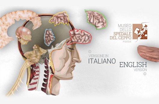 Gioco, scelta della lingua