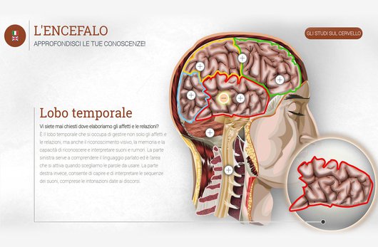 Schermata del gioco, approfondimento