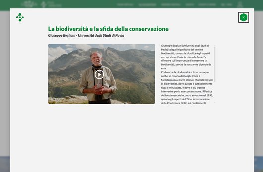 schermata di visualizzazione delle interviste