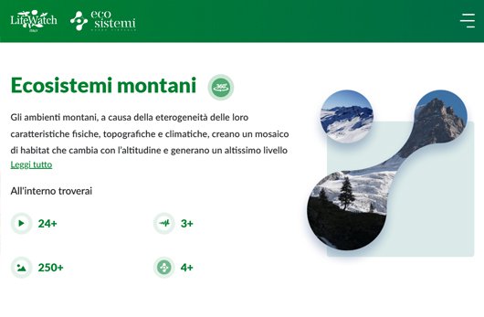 home page del sito web