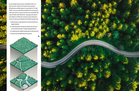 esempio di visualizzazione in storymap