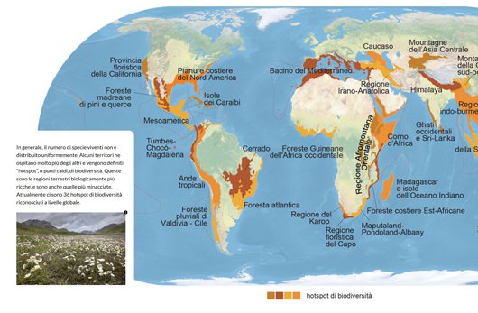 esempio di visualizzazione in storymap