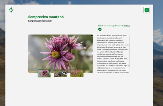 scheda di approfondimento