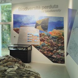 A Salsomaggiore Terme inaugura il MuMAB, Museo Mare Antico e Biodiversità