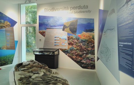 A Salsomaggiore Terme inaugura il MuMAB, Museo Mare Antico e Biodiversità