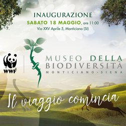 Il Museo della Biodiversità di Monticiano apre le sue porte