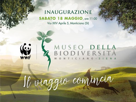 Il Museo della Biodiversità di Monticiano apre le sue porte